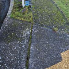 Driveway, patio, & rock cleaning in Newberg, OR 1