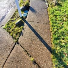 Driveway, patio, & rock cleaning in Newberg, OR 2
