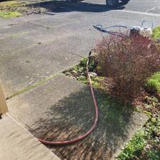 Driveway, patio, & rock cleaning in Newberg, OR 4