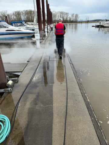 Dock cleaning and sanitizing in St. Helens without chemicals. 