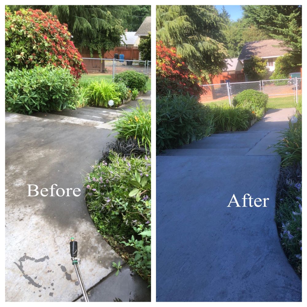 House walkway and driveway cleaning in scappoose or