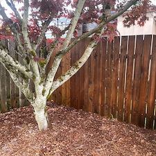 Market-Ready-Package-Scappoose-OR 5